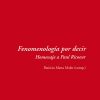 Fenomenología por decir