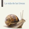 La vida de las líneas